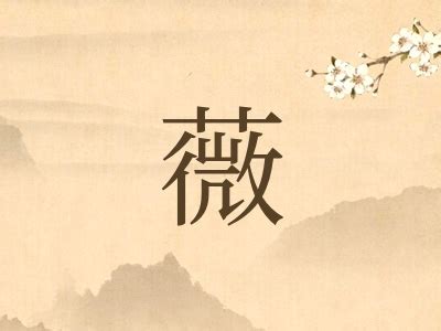 薇名字|带薇字的名字 清新典雅的好名字分享 快快收藏